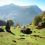 Appartement An Ruhiger Lage Mit Schoener Bergsicht By Interhome *
