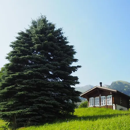 An Ruhiger Lage Mit Schoener Bergsicht By Interhome Grindelwald